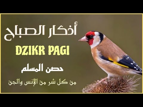 أذكار الصباح - راحة نفسية لا توصف بصوت القارئ علاء عقل | Morning Athkar - Dzkir Pagi by Alaa Aql