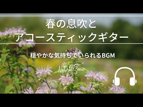 Natural Sonic「春の息吹とアコースティックギター」- 穏やかな気持ちでいられるBGM -