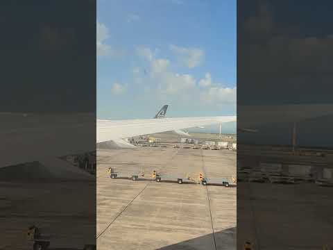 Empty baggage cart at the airport ramp #kuyabogpilotzn #aucklandairport #airport