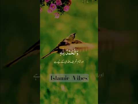 SubhanAllah | #like #islamicyoutube #islamicvideo #subscribetomychannel