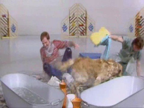 Blue Peter pets compilation