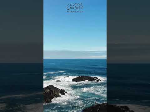 سورة يس 🌺 استمع قبل النوم وكرر للسكينة | Surah Yasin 🌺 Listen Before Sleep & Repeat for Peace