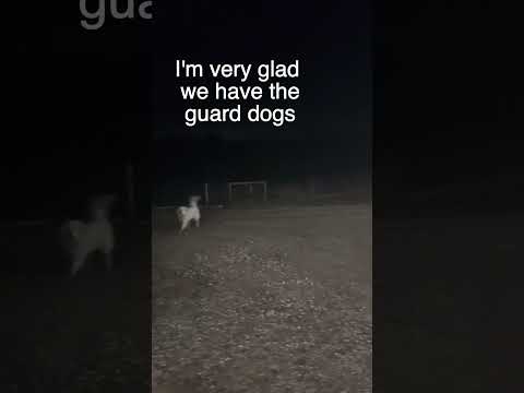 This is why we have guard dogs...