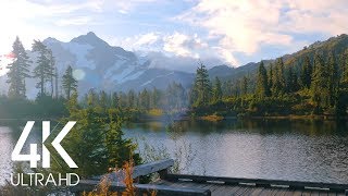 8 Hours of Birds Singing on the Lakeshore and Water Sounds - Relaxing Nature Sounds - Mount Shuksan