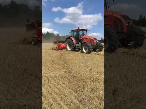 Zetor 11741 forterra