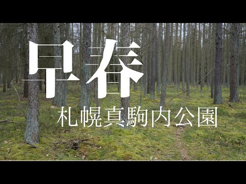 【4K】早春の散歩　札幌真駒内公園