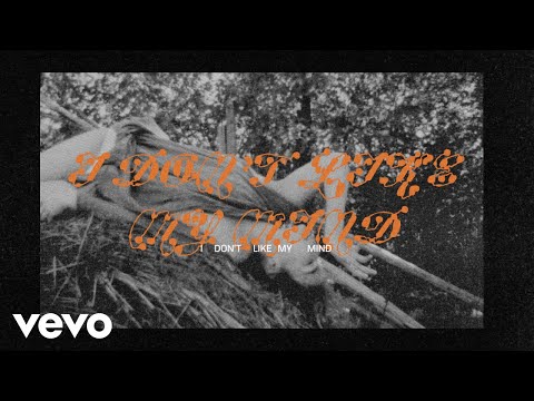 Mitski - I Don't Like My Mind (Official Lyric Video)