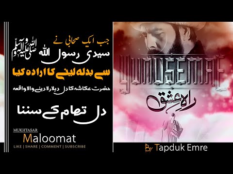 Hazrat  Ukasha (R.A) Ka Waqiya | Tapduk Emre | Yunus Emre | Mukhtasar Maloomat | Short Clip