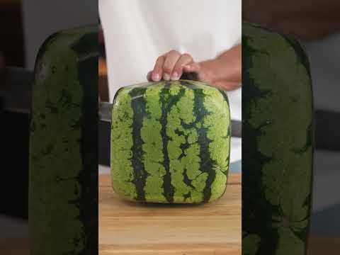 Eating A Square Watermelon