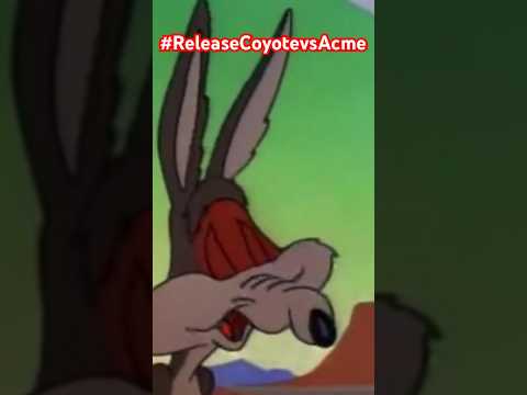 My Wile E coyote voice/ Release Coyote vs Acme promotion