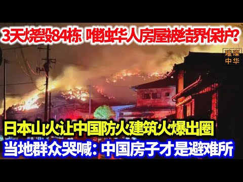 3天烧毁84栋 唯独华人房屋被结界保护？日本山火让中国防火建筑火爆出圈！当地群众哭喊：中国房子才是避难所！#中国基建 #建筑设计 #山火