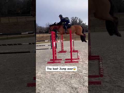 Best Jump🥳 #trending #horse #france #equestrian #fyp #viralshorts #foryou #foryoupage #horseriding