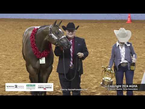 Select 3-Year-Old Mares - 2024 AQHA World Championship Show