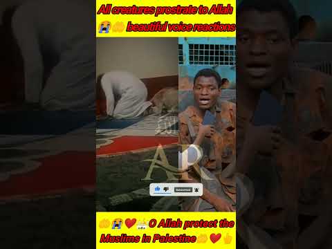 All creatures prostrate to Allah 😭🤲 African boy beautiful voice reactions #quran #shorts #archannel