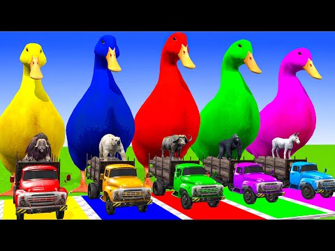 5 Giant Duck Cartoon, Cow, Zebra, Elephant, Lion, Animals Crossing Fountain Animal Game