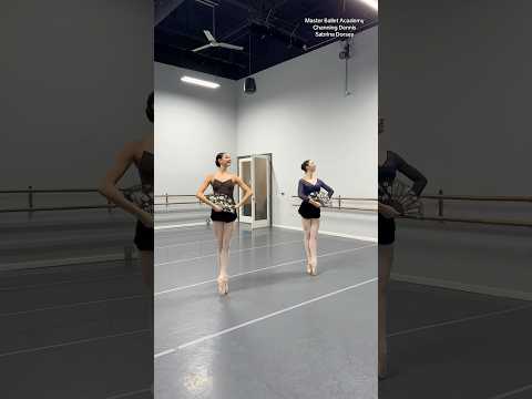 PERFECTLY IN SYNC 😧👍😮✨ #ballet #ballerinas #dance #dancer #dancevideo #ballerina #balletdancer