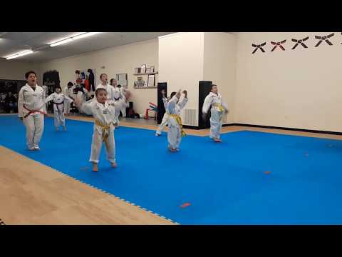 TAEKWONDO | ORANGE BELT TESTING