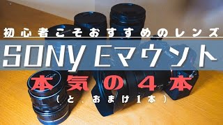 SONY Eマウントレンズ 初心者におすすめレンズ4選＋1個 24-105G 16-35GM SIGMA2870 TAMRON 1728 SUPERTAKUMAR55mm