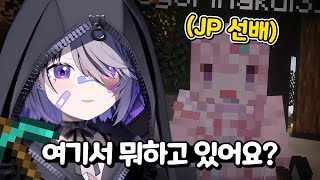 저희 비부는 그런 거 모릅니다【코세키 비쥬】