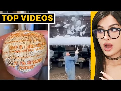 Unbelievably Dumb Things People Did and Got Caught On Camera! | SSSniperWolf