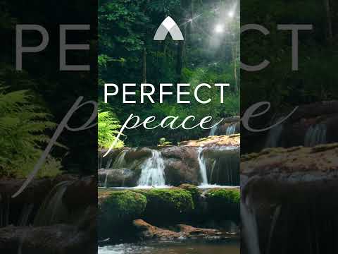 Experience Perfect Peace of Christ: Abide