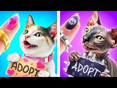 Good Cat vs Bad Cat! Makeover of Homeless Kittens