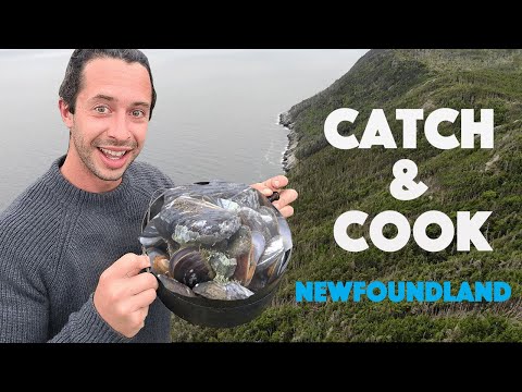 Atlantic Ocean Catch And Cook | Mussel Boil