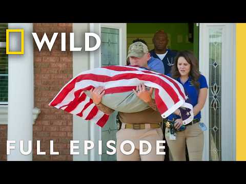 Veteran Pets (Full Episode) | Critter Fixers | Nat Geo Animals