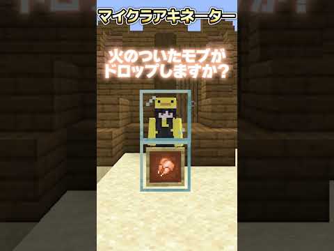 1分で当てる！マイクラアキネータークイズ 初級編