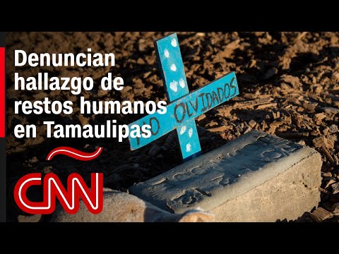 Violencia en México: denuncian hallazgo de restos óseos en terreno de Tamaulipas