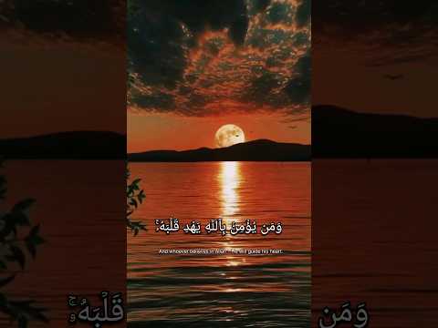 مَآ أَصَابَ مِن مُّصِيبَةٍ #القرآن_الكريم