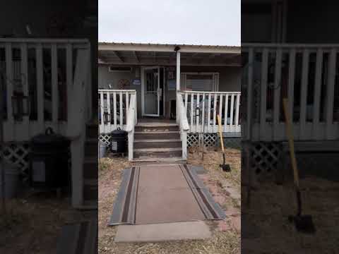 Cane Corso (Dinky) let's herself in the house.