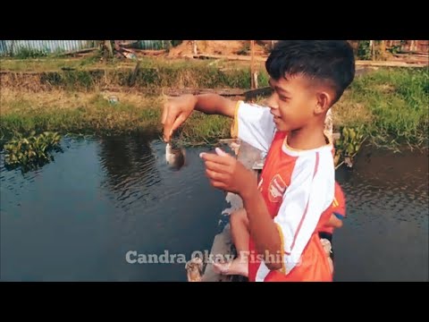 PELET CAMPUR ESEN ANAK INI STRIKE IKAN NILA || MANCING IKAN NILA #018