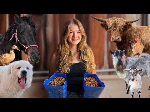 Running the Farm for A Night (At 14 Years Old)