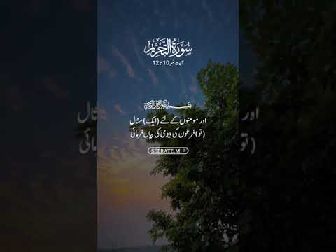 Surah Tehreem Ayat 10 - 12 #holyquranforall #islamicvideo #tehreem #quran #beautifulquranrecitation