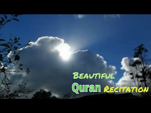 Beautiful Quran recitation by Hafez Jalal l Heart touching soft amazing quran recitation