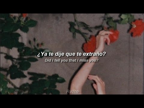 adore - did i tell u that i miss u (Sub. Español // Lyrics)