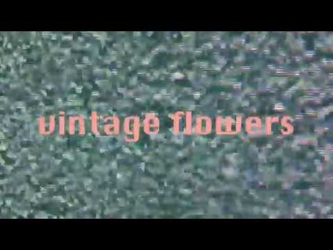 CASTLEBEAT - Vintage Flowers