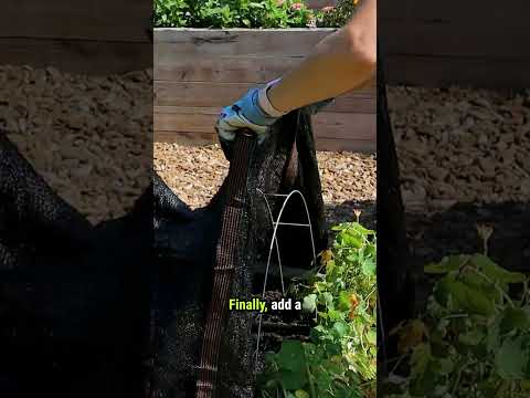 Planting Tips for Summer