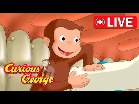 🔴 LIVE Curious George Full Episodes 🐵 Help George Clean His Teeth + More!