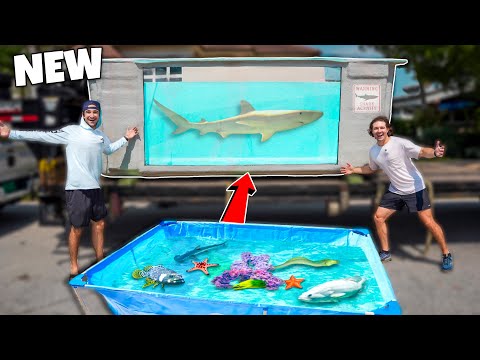 I BOUGHT My DREAM SALTWATER POND!! (Part 1)