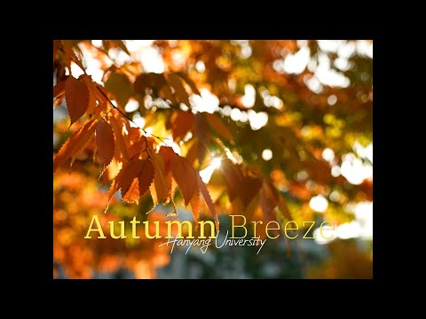 [4 Seasons] Autumn Breeze｜바람은 가을을 싣고 온대요!!