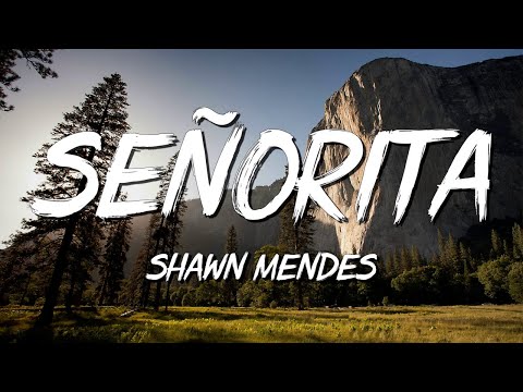 Senorita - Shawn Mendes (Lyrics) || David Kushner , Ava Max... (MixLyrics)