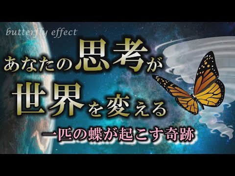 【バタフライ効果】予想外の奇跡は誰でも起こせる｜些細な言動で何かが動く