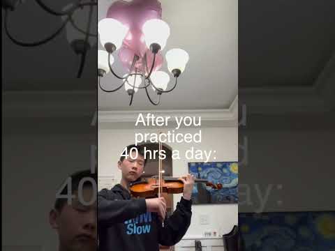 GO PRACTICE YOUR 40 HOURS A DAY!!  #lingling #violin #twosetviolin