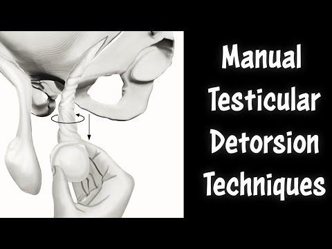 Manual Testicle Detorsion and Torsed Testicle Traction Technique