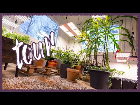 Complete TOUR of my INDOOR Grow Room!