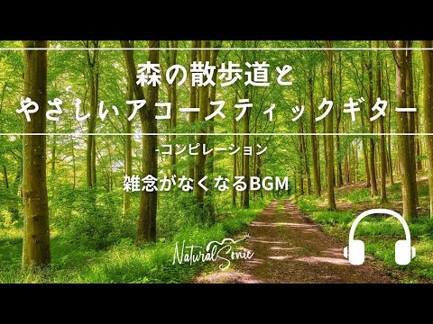 Natural Sonic 「森の散歩道とやさしいアコースティックギター」 コンピレーション - 雑念がなくなるBGM  -