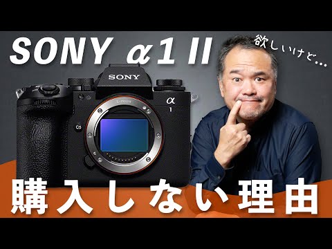 僕がSONY α1 IIを買わない理由を仕事と趣味の視点から語ります