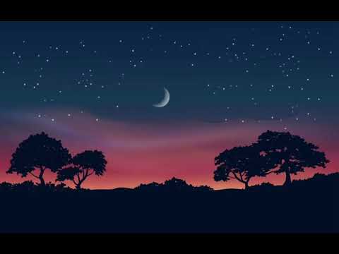 The Night We Met - Lord Huron (Lirik Lagu)